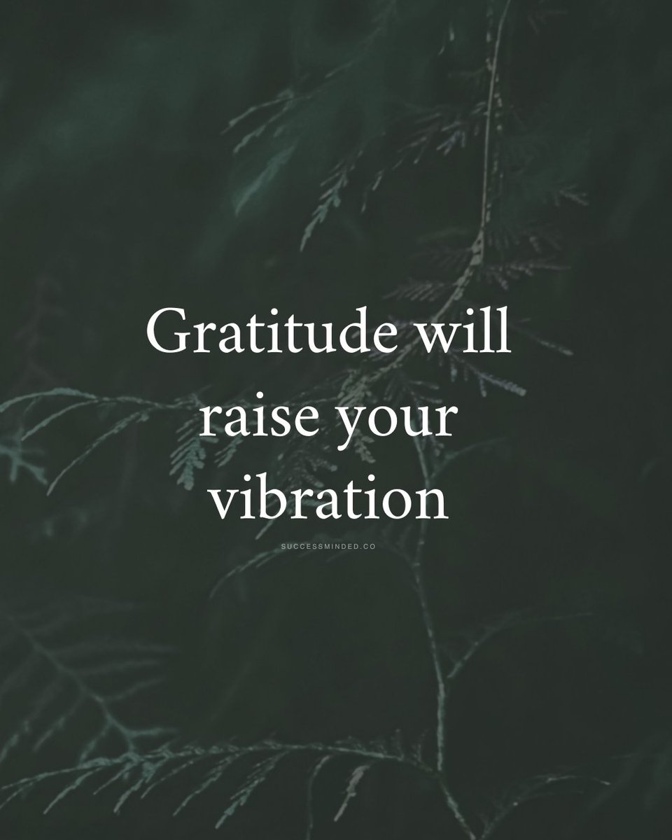 _SuccessMinded_'s tweet photo. Gratitude🙏 https://t.co/2bDuR1aLPq