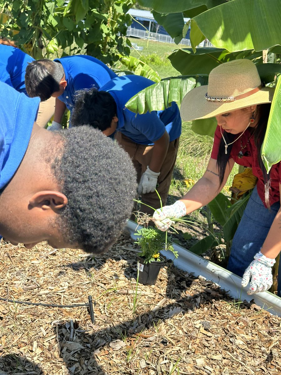 Holland_Middle_Ag tweet media