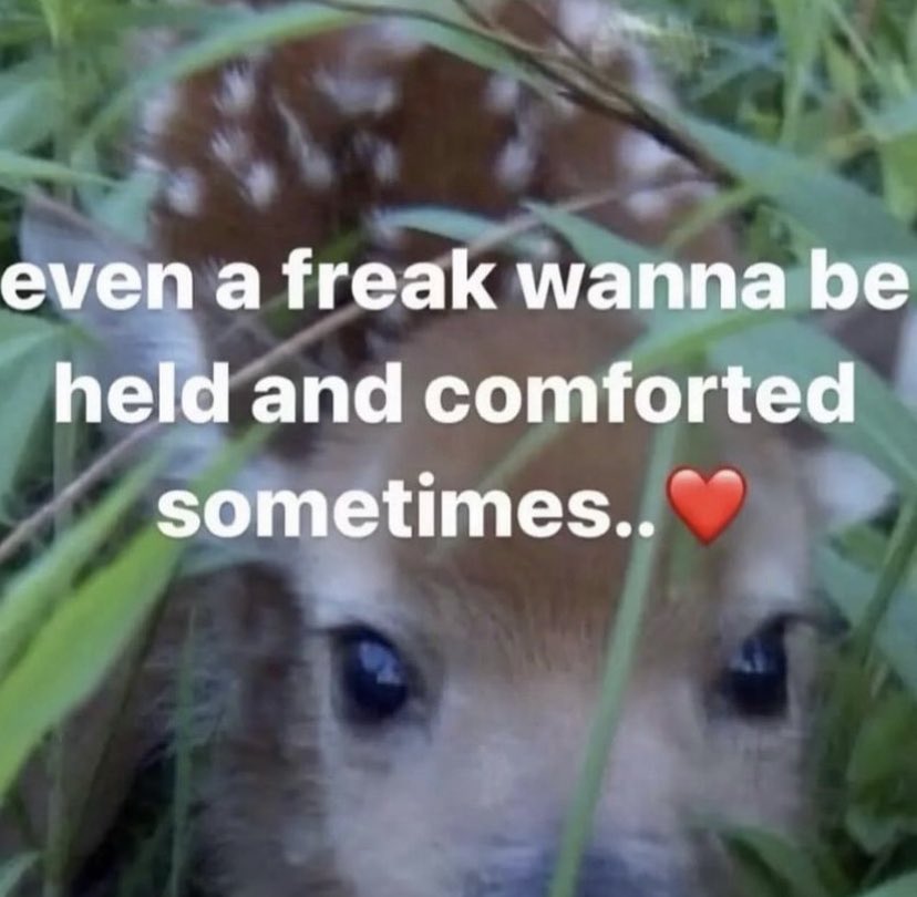 northstardoll's tweet image. 