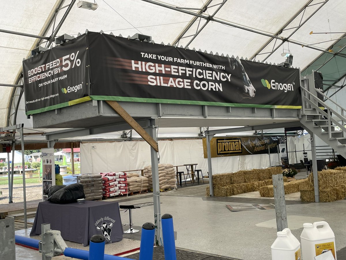 Doug Helm tweet media