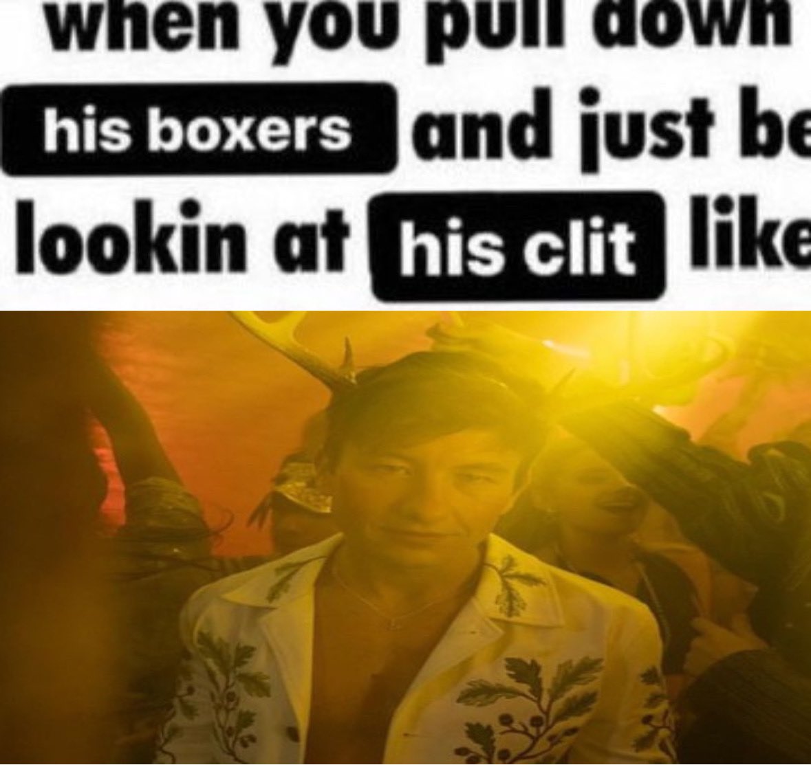 Milo ✦ tweet media