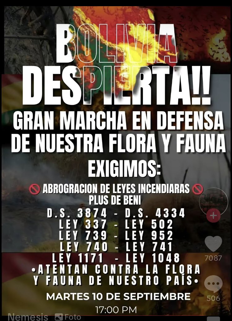 Natalee 🇧🇴💪 tweet media