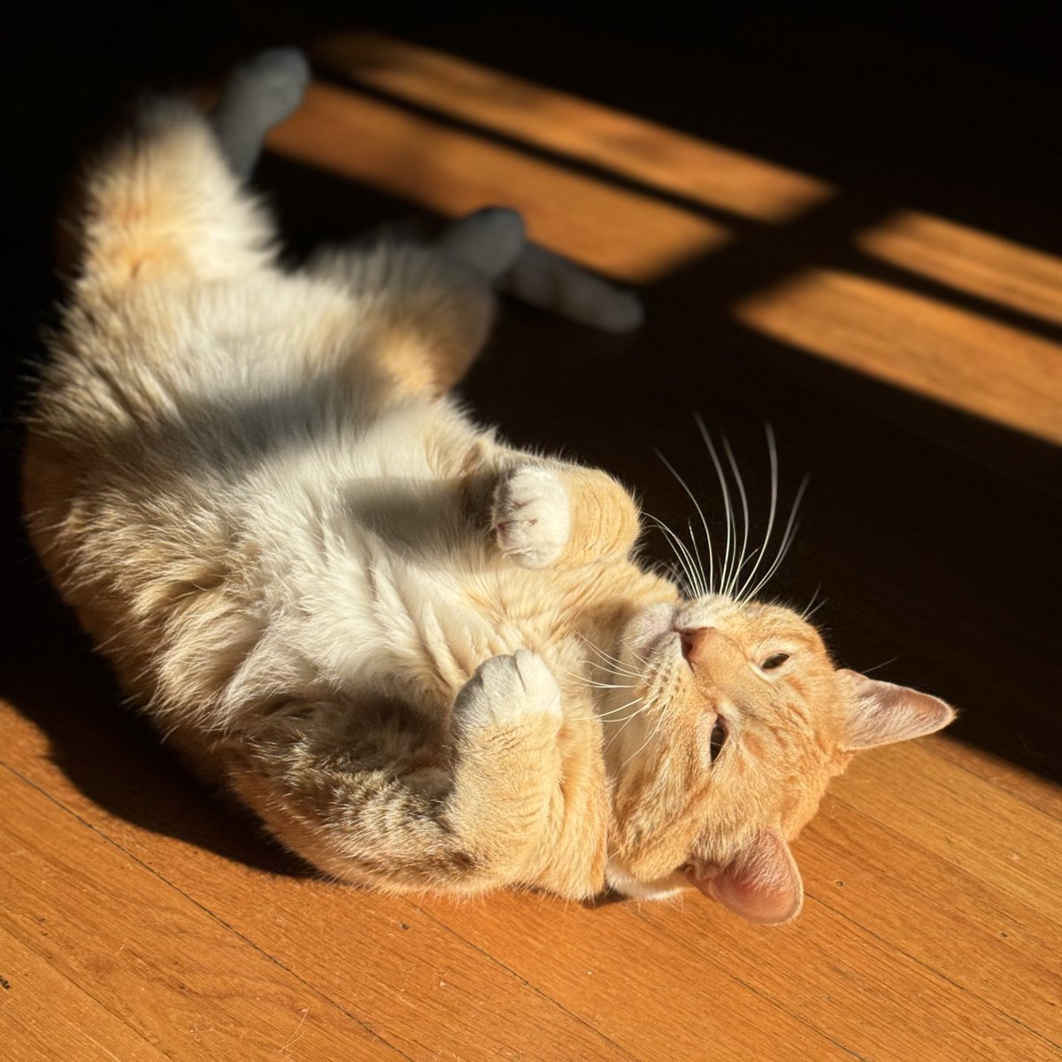 You don’t look like you’re having fun. Maybe try flopping around on the floor to change up the vibe