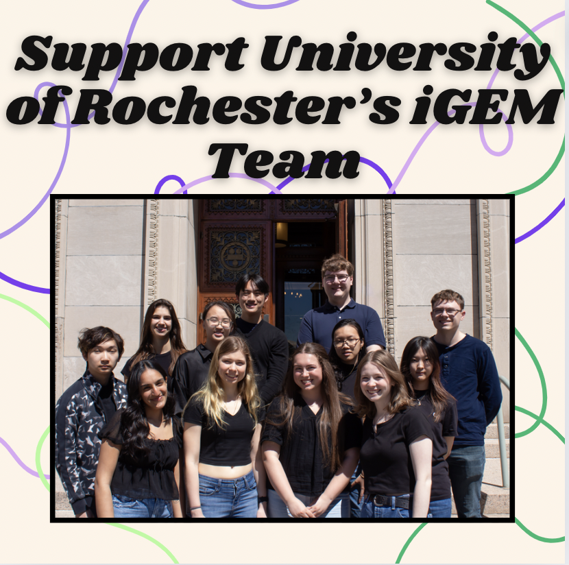 U of R iGEM 2024 tweet media