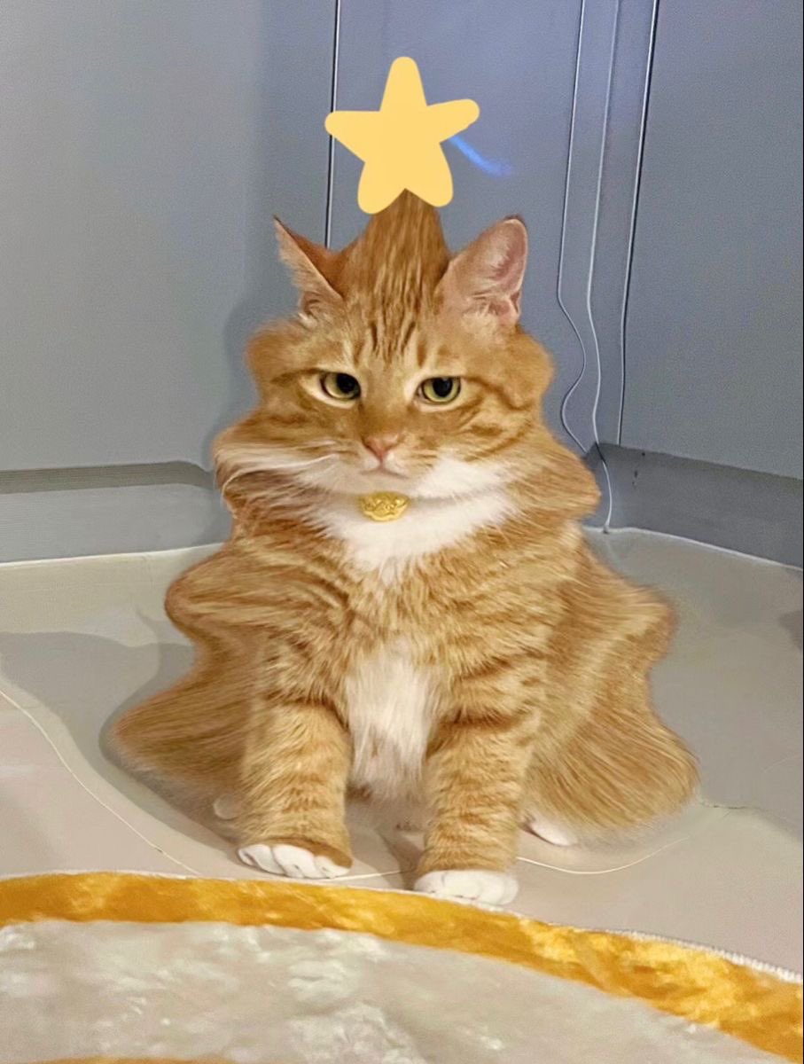 bro became christmas