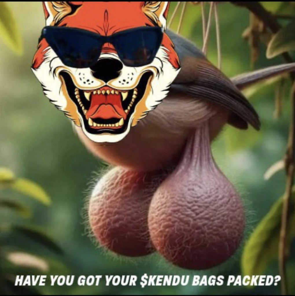 bobdagnome's tweet image. Just to let y’all know

I’ve got the balls to hold $KENDU til $100B