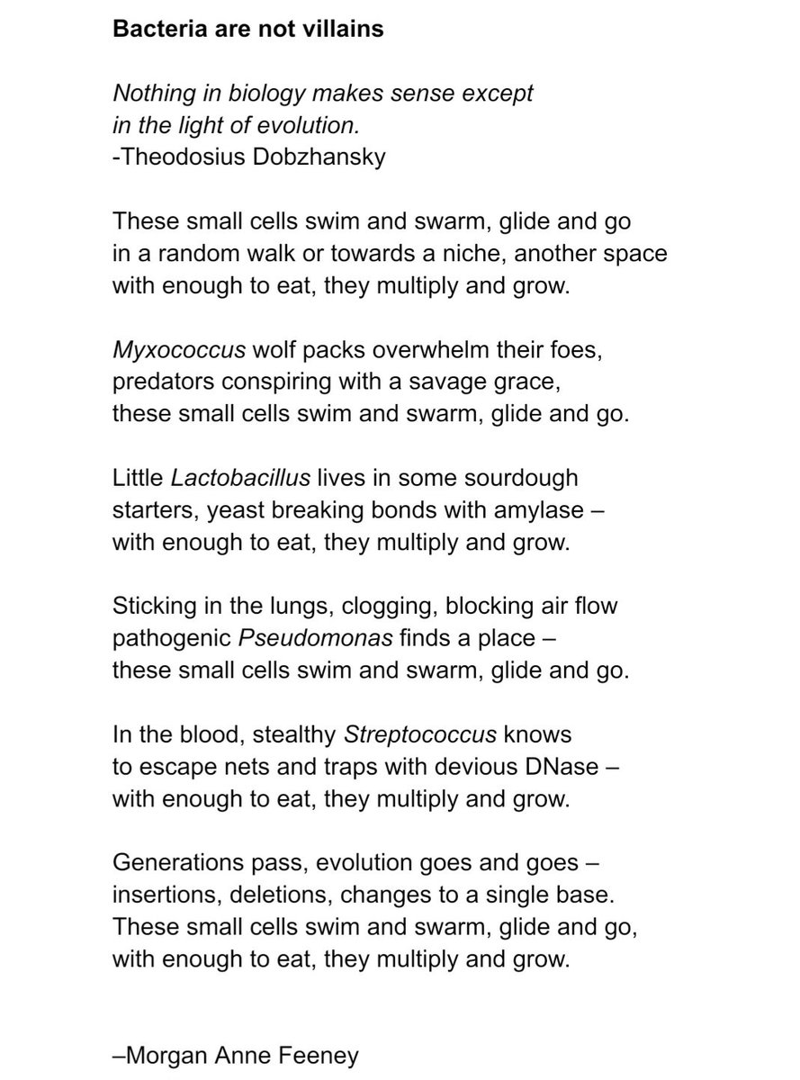 Dr Morgan Feeney (@mostlymicrobia) on Twitter photo #SciencePoetry #villanelle #MicrobeArt2024 #InternationalMicroorganismDay <a href="/IntMicroDay/">International Microorganism Day</a> #SciencePoetry #villanelle #MicrobeArt2024 #InternationalMicroorganismDay <a href="/IntMicroDay/">International Microorganism Day</a>