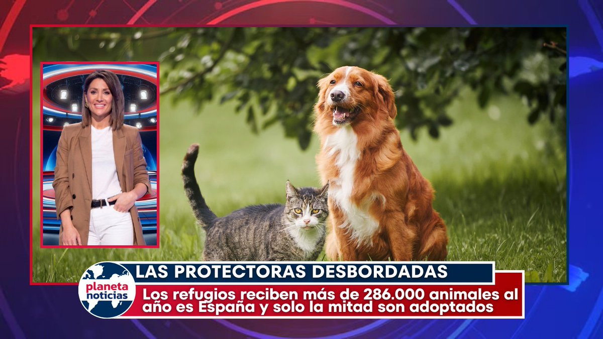 PLANETA NOTICIAS tweet media