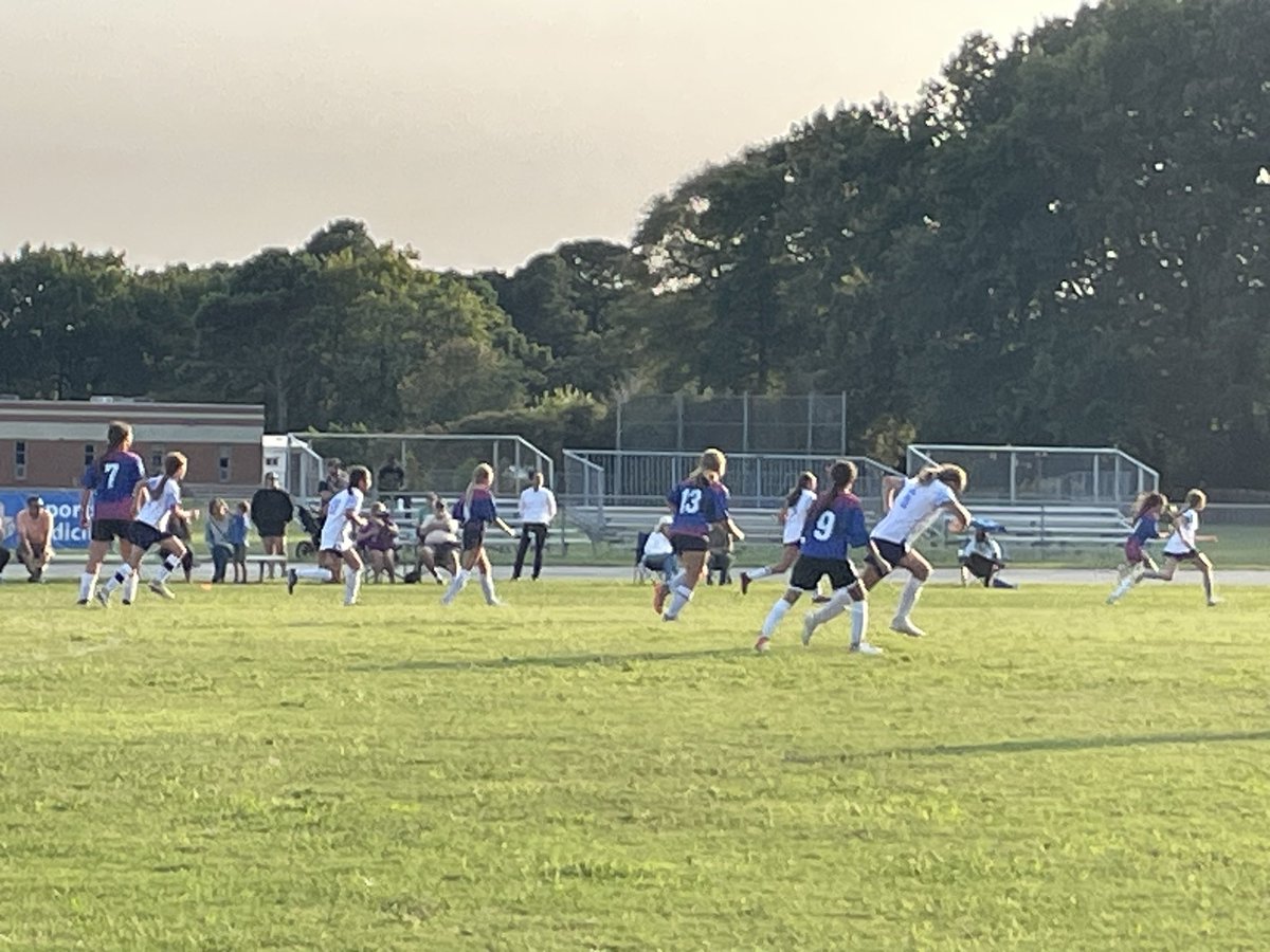 Brad Nelson tweet media