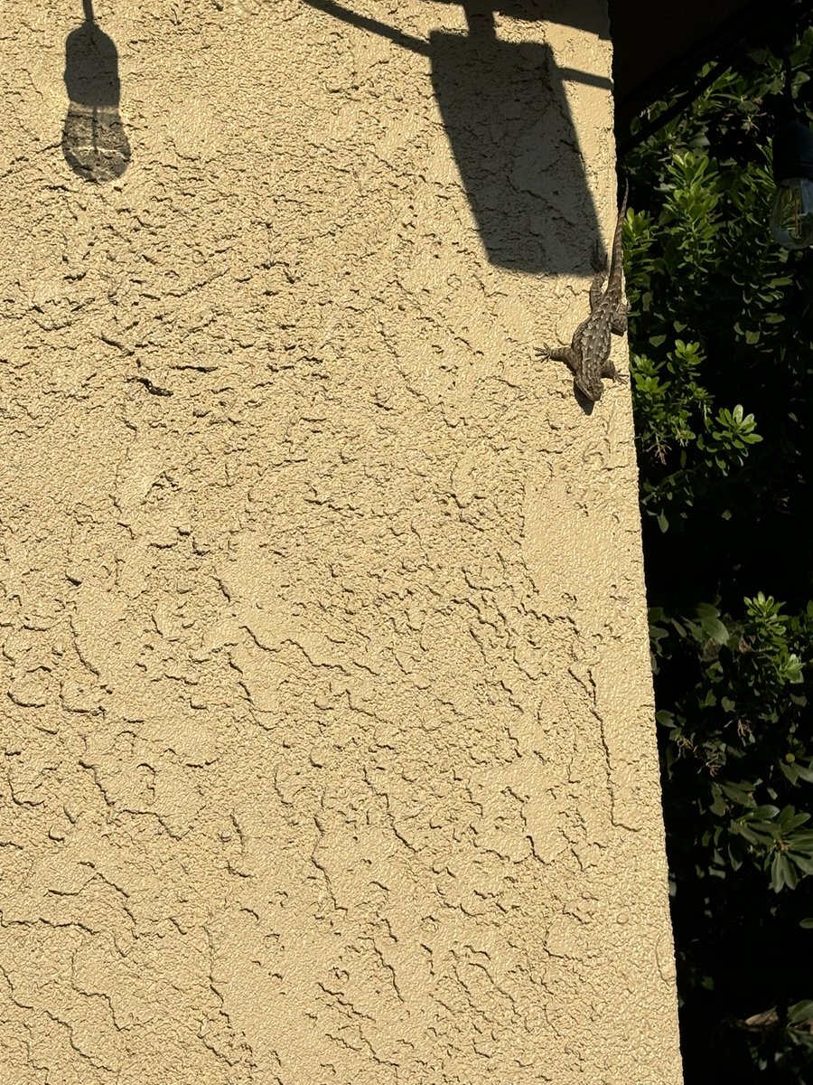 🪬Aɱყ Aɳɳ🪬 tweet media