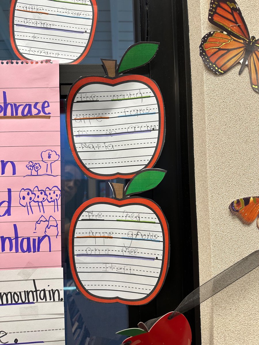 Maria Torres tweet media