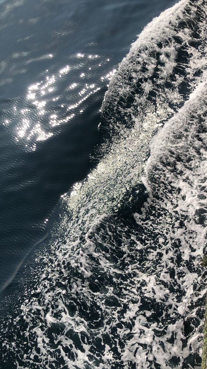 99MP5's tweet photo. 🌴🌊 https://t.co/nQHR0YKjNT