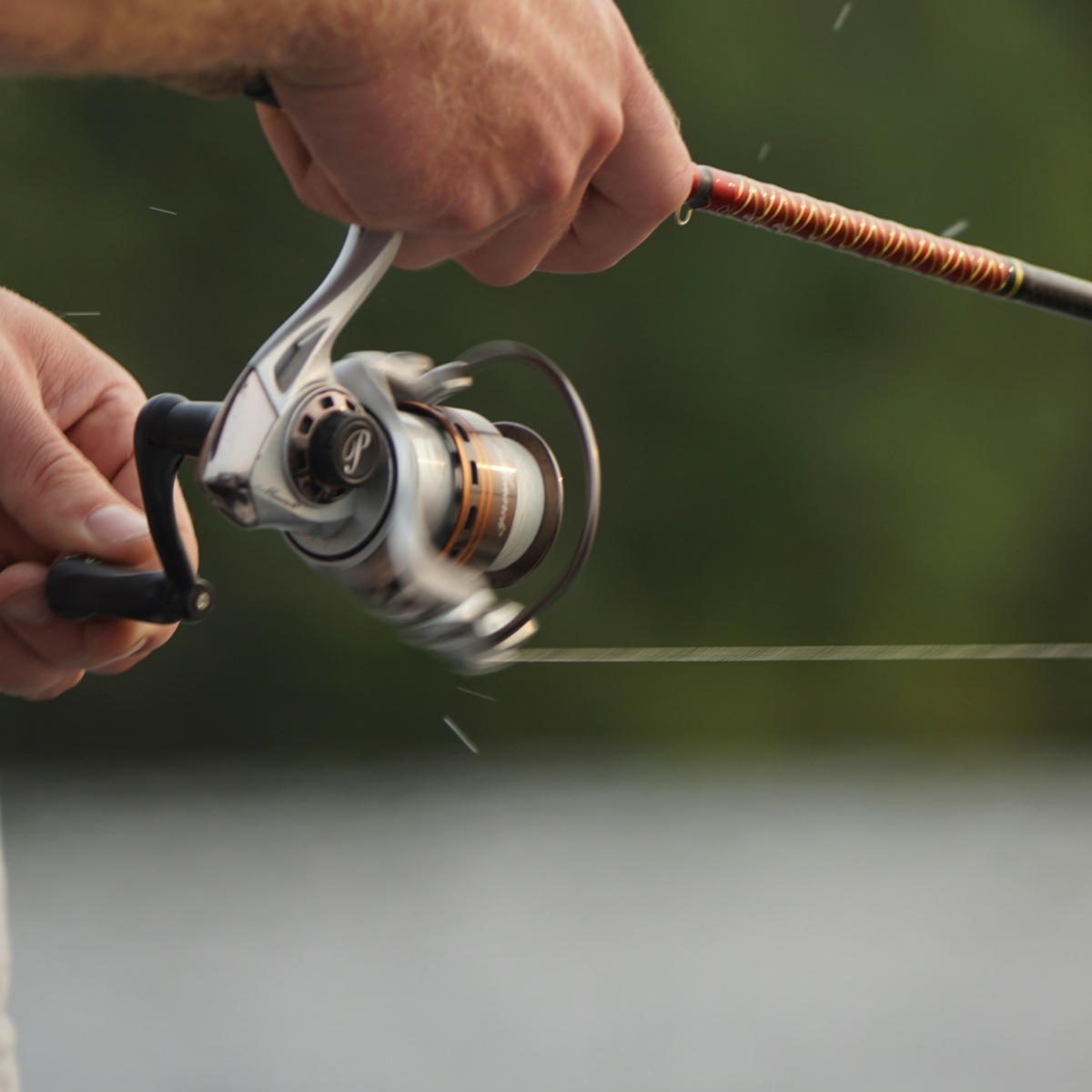 ElkRiverHotel's tweet photo. Holly Gray Park in Sutton has something for everyone! Enjoy tennis, basketball, baseball, a horse corral, a playground, and scenic hiking trails. Be sure to cast a line in one of the beautiful fishing ponds during your stay with us. https://t.co/lpDegytTYm https://t.co/hHobIB8o97