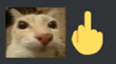 Zeling (@zeiing) on Twitter photo 