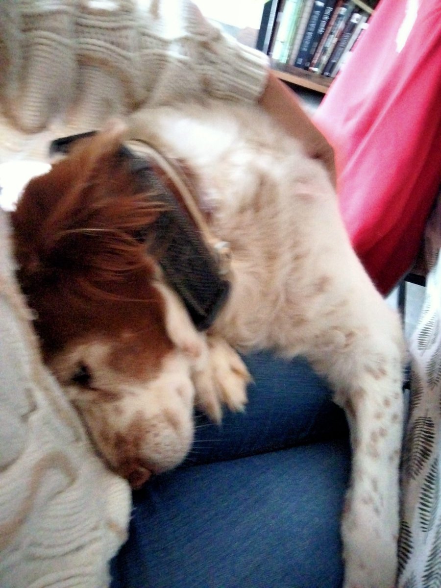 Només demano al cel que siguis allà quan arribi el meu moment. Tant de bo poder tornar a abraçar-te, t'estimarem sempre