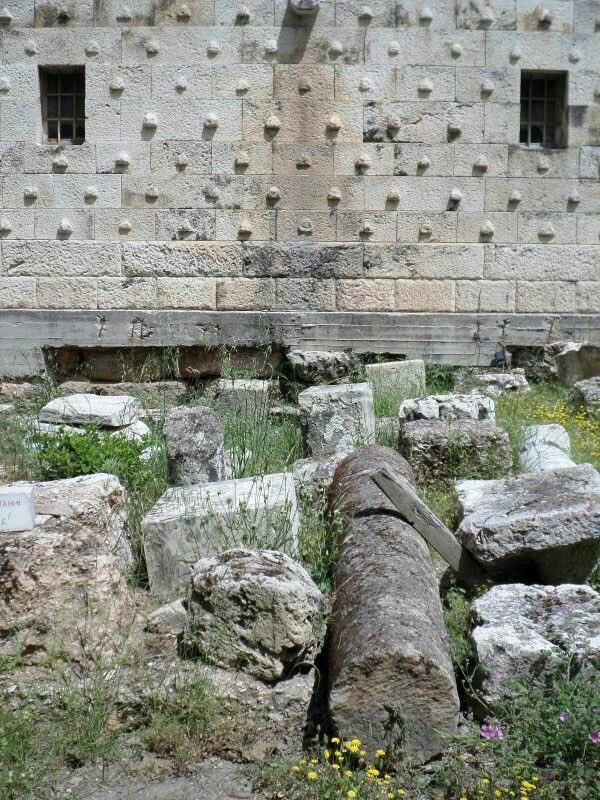 Ancient Alternative View tweet media