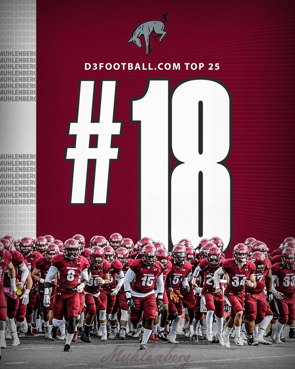 DigInMules's tweet image. 