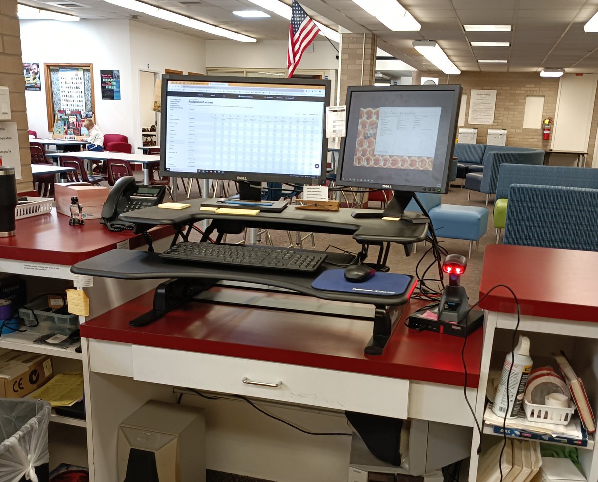 Ryan MacRaild tweet media