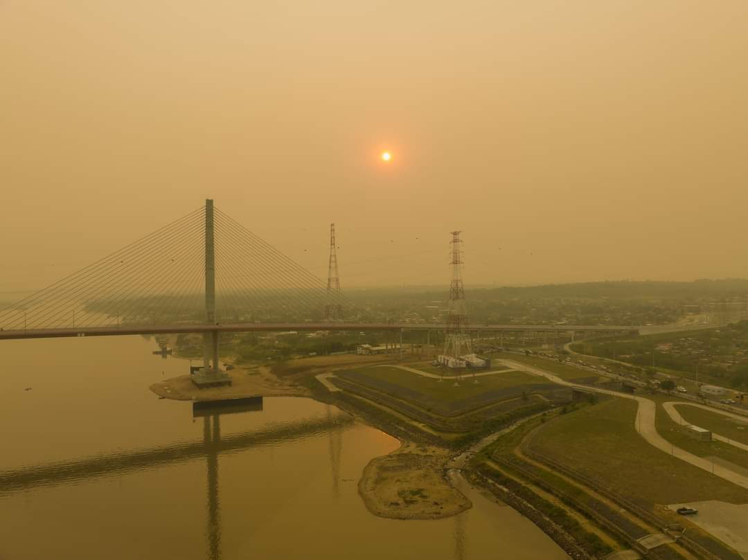 La distopía paraguaya en una imagen. Este gobierno vende y nos hace tragar humo a costa de lo que quedan de nuestros bosques. <a href="/SantiPenap/">Santiago Peña</a> y un puñado de empresarios están rematando nuestro futuro para que sus 14 millones de vacas tengan pasto.
