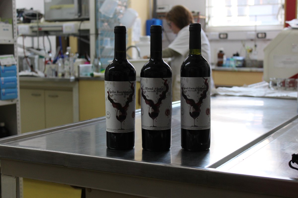 🍷Científicas de la <a href="/UNQoficial/">Universidad Nacional de Quilmes</a> lanzarán el primer vino realizado por una universidad pública

🔬🥼Las especialistas del Laboratorio de Microbiología Molecular aislaron las bacterias con las que fermentaron las bebidas 🍇