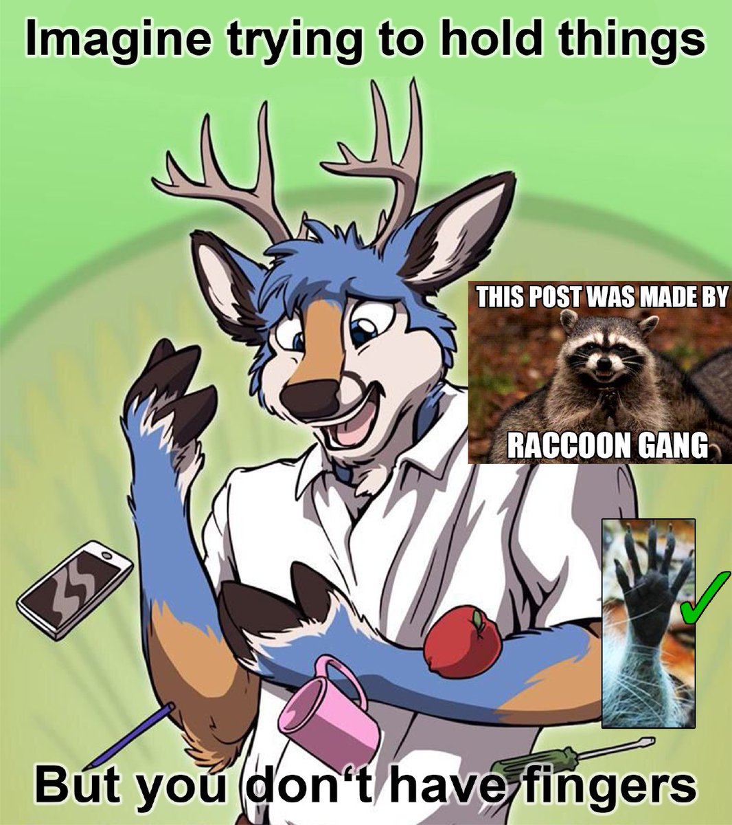 Deerposts tweet media