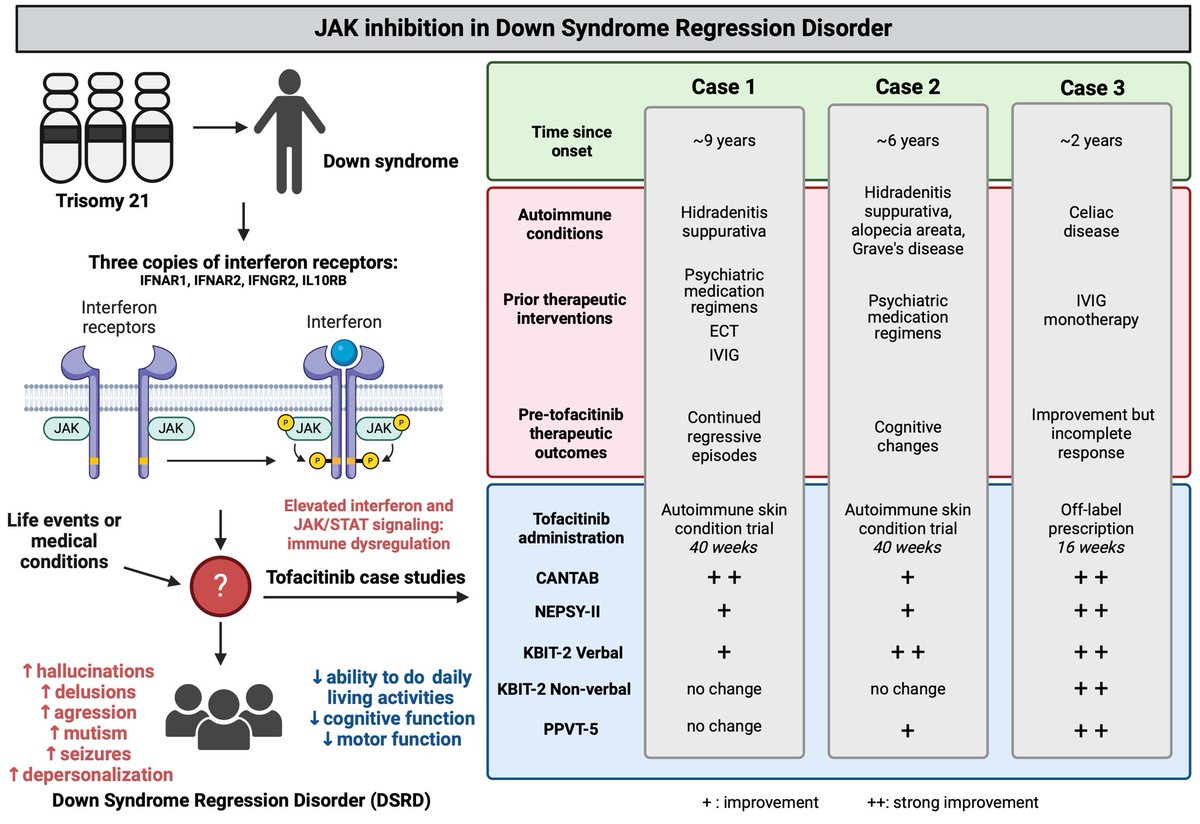 Case report series of Down Syndrome Regression Disorder (DRSD) #DRSD known to be prone for autoimmunity demonstrate DRSD neurological symptoms improvement in response to #tofacitinib 

@joaquinespinosalab @ColoradoUni
Check the manuscript below ⬇️

jni-journal.com/article/S0165-…
