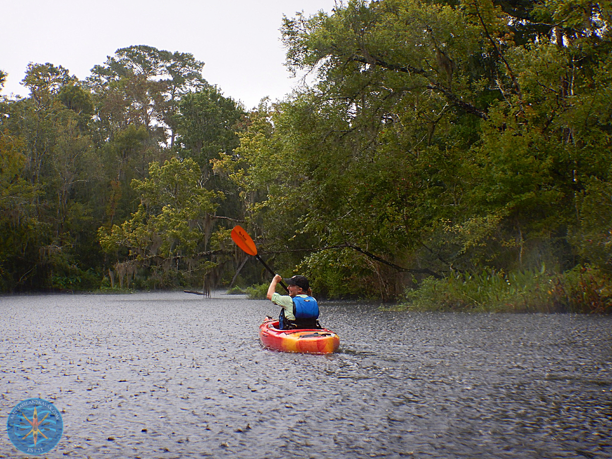AI_Kayak's tweet photo. Cloudy, Sunny, "Nothing but Blue Skies", Rainy, &amp; (no ❄️❄️ days here 😊) - anytime is a good to to go kayaking! Plan a fun outing with us! Let's Go! 🌤️🔆😎🌧️💦🚣‍♀️#AIKE #Loveamelia #LoveFL #nature https://t.co/ty3XrlhczI