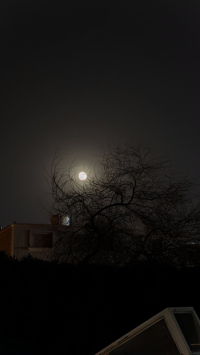 مدري السهر بلوه وفيه إبتلينا 
ولا ظلام الليل حنّا هويناه