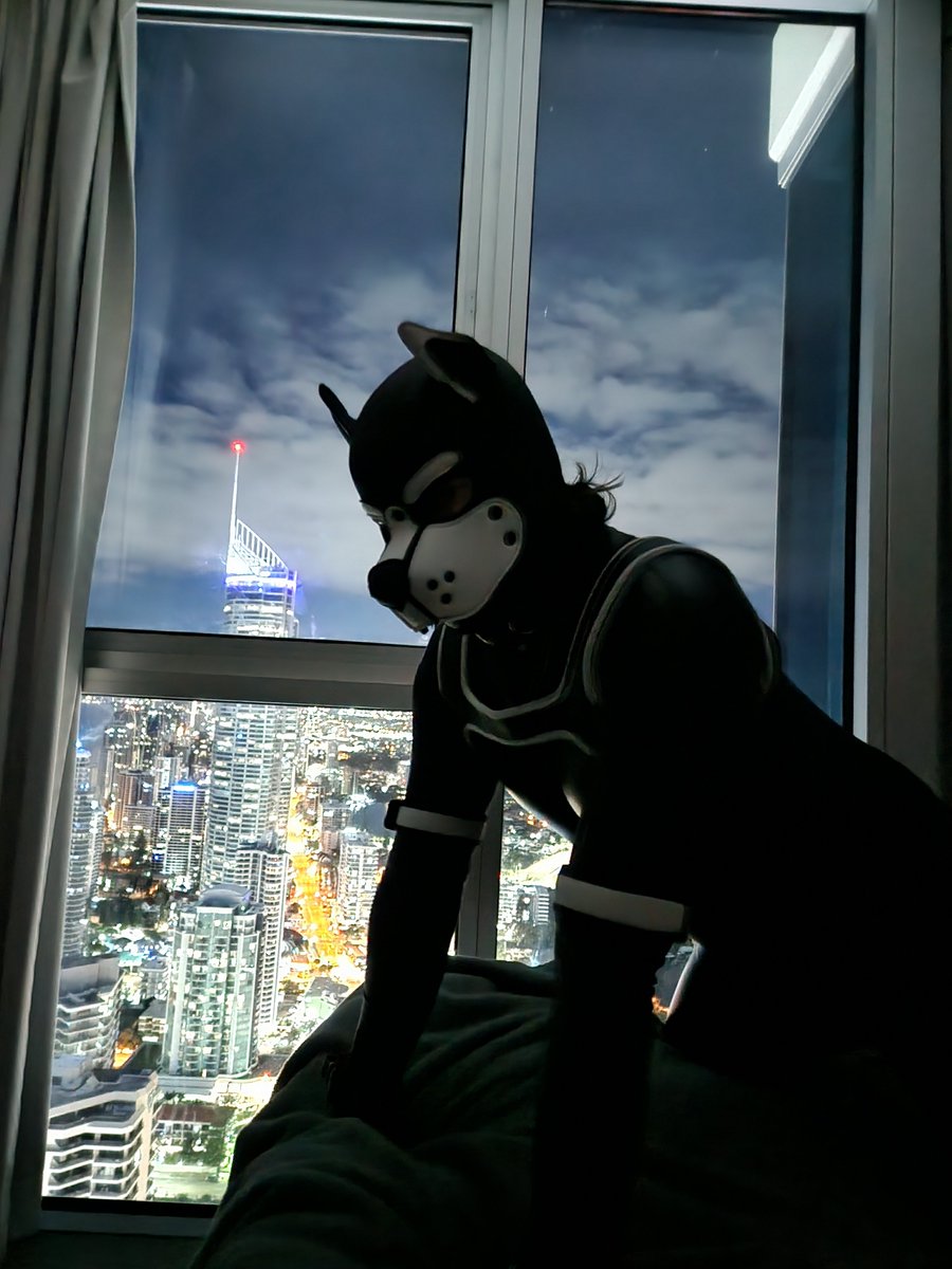 #gaypup #gaykink 

honestly felt pretty cyberpunk