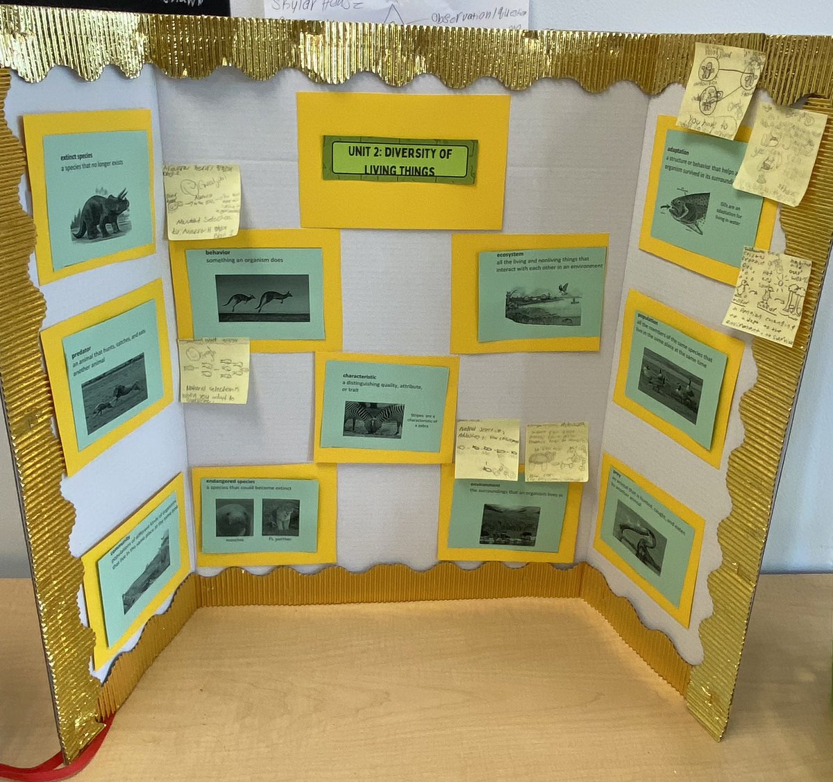 KHolleyEdS's tweet image. The students enjoyed contributing to Ms Addie’s unit specific word wall today. Today’s word was natural selection. I was truly impressed with their pictures &amp;amp; explanations. 

Vocabulary is an integral part of science and the Tigers are off to a great start! @EdTechLex