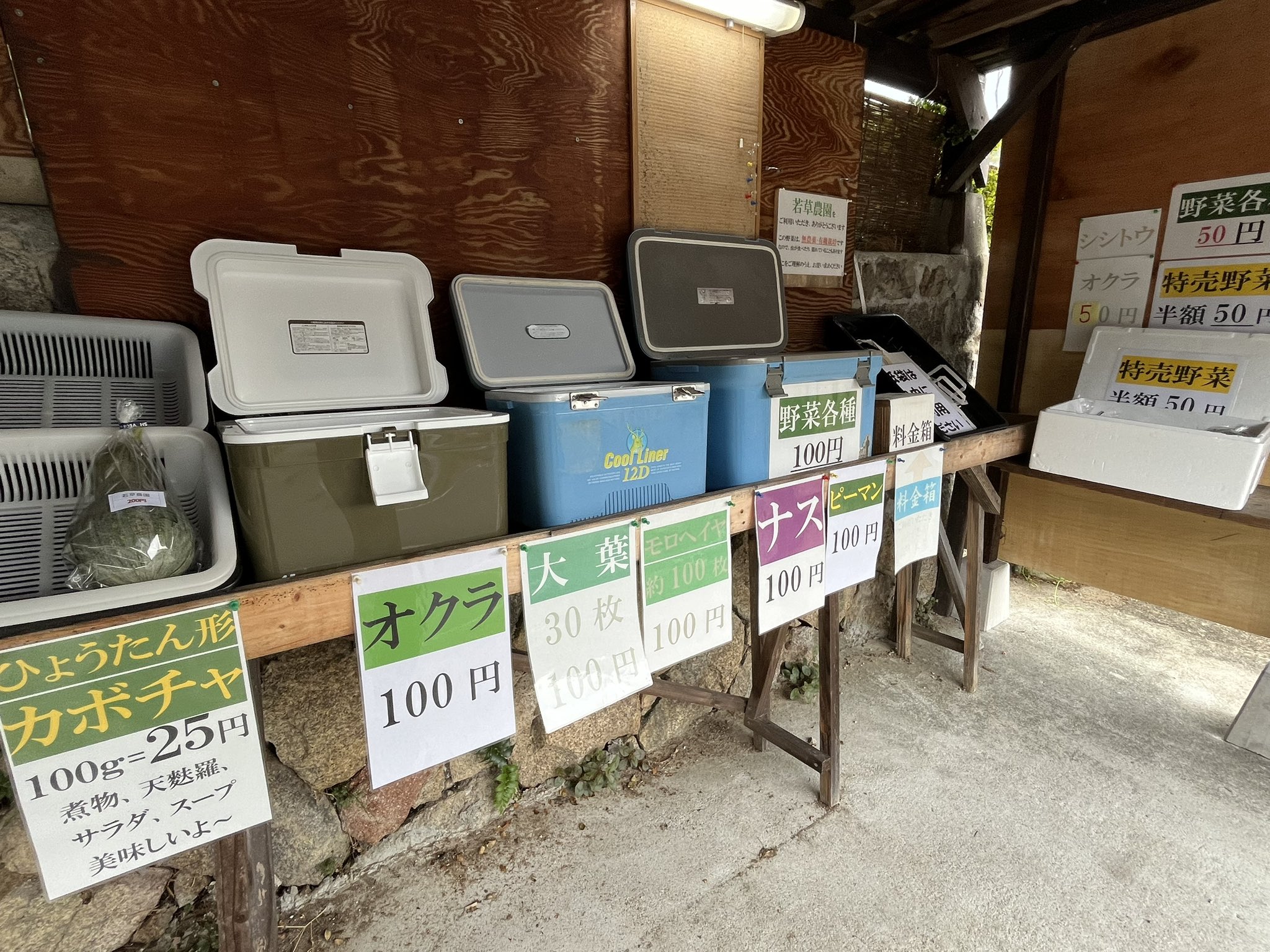 CJ グアダラハラナ圓葉瓜達選抜コンパクト本日20時頃まで出品予定！