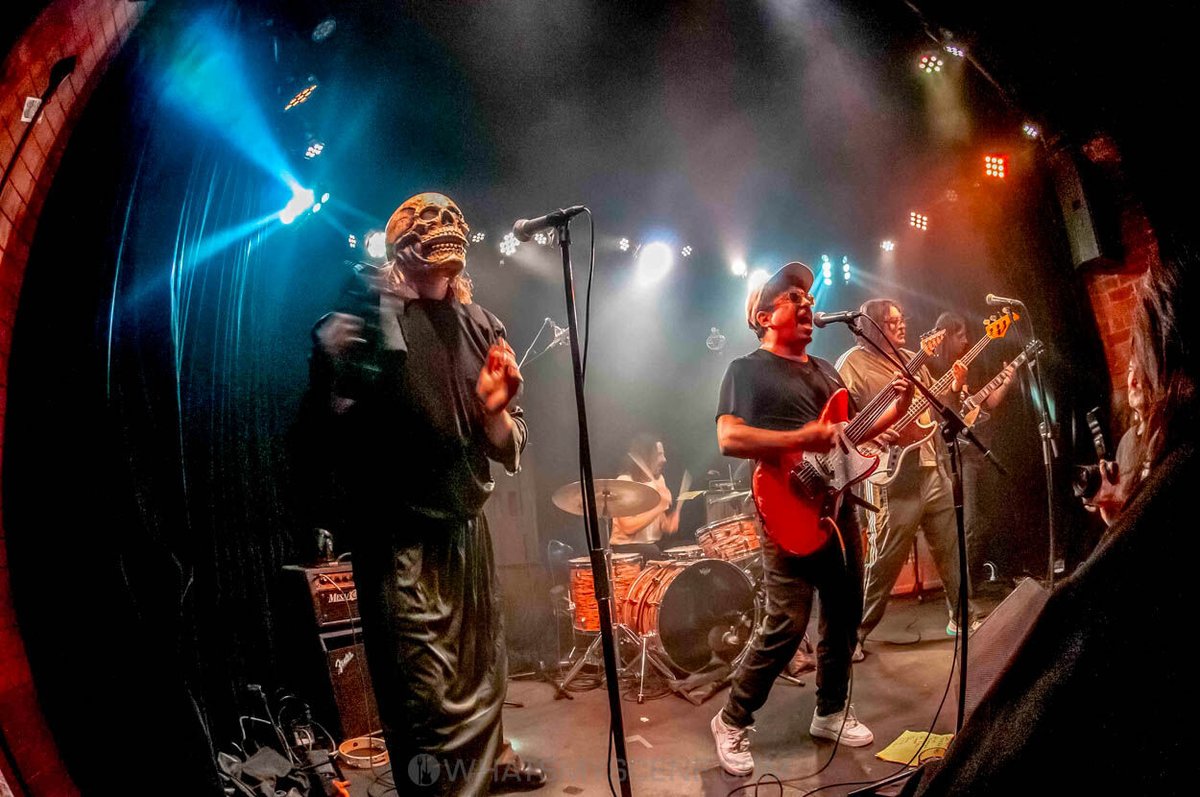 What's My Scene tweet media