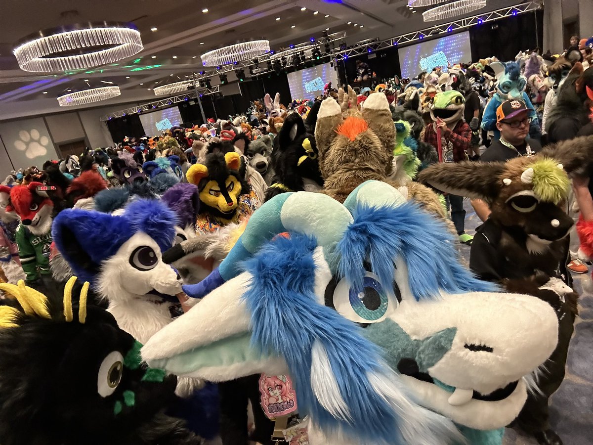 Zefneir's tweet photo. Had an amazing time at Furry Migration this year, I had a blast meeting so many amazing people!
Fursuit crafted by: @GATORSPOTS https://t.co/I6EzXCKQ2X