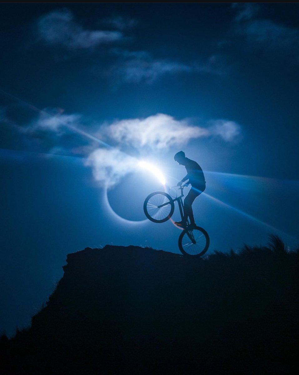 Siempre me gusto sacarle fotos a animales y animales que hacen deportes 😅