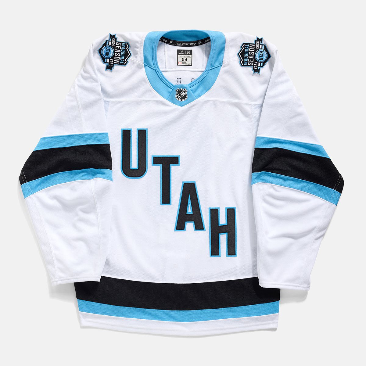 BigBear1973's tweet image. @JayOnSC @JayOnrait Now hopefully someone at the Utah Hockey Club has the bright idea to have Keanu Reeves there for Opening Night with those new sweaters 🤘🏻
#PointBreak
#JohnnyUtah
#UtahGetMeTwo