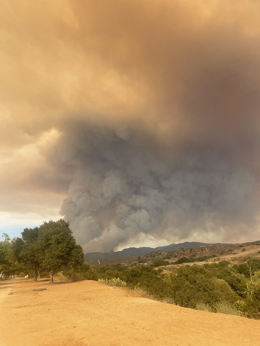 This would be the reason we can’t get renters insurance where I live.