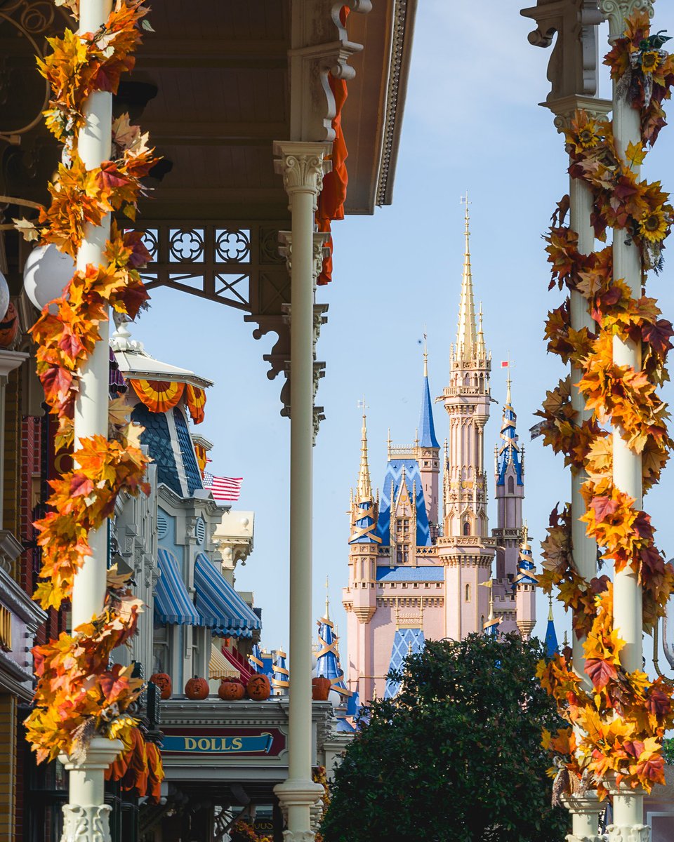 Somewareatdisney tweet media