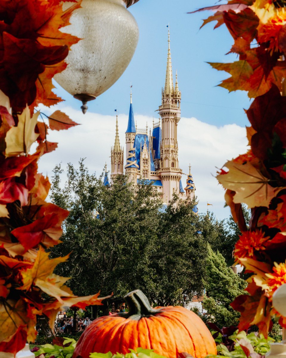 Somewareatdisney tweet media