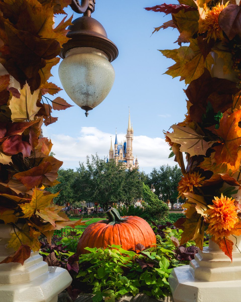 Somewareatdisney tweet media