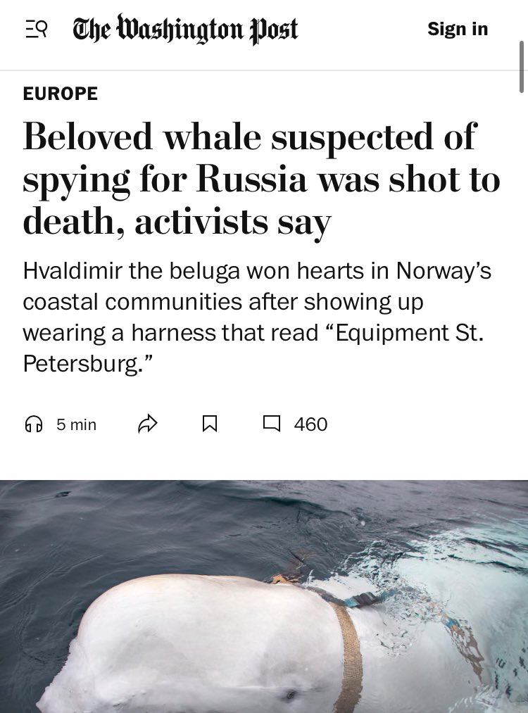 Barely Sociable tweet media