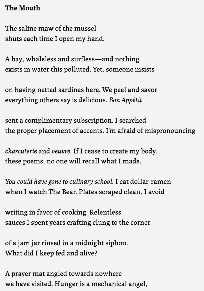 ✨ Jaia Hamid Bashir ✨ tweet media