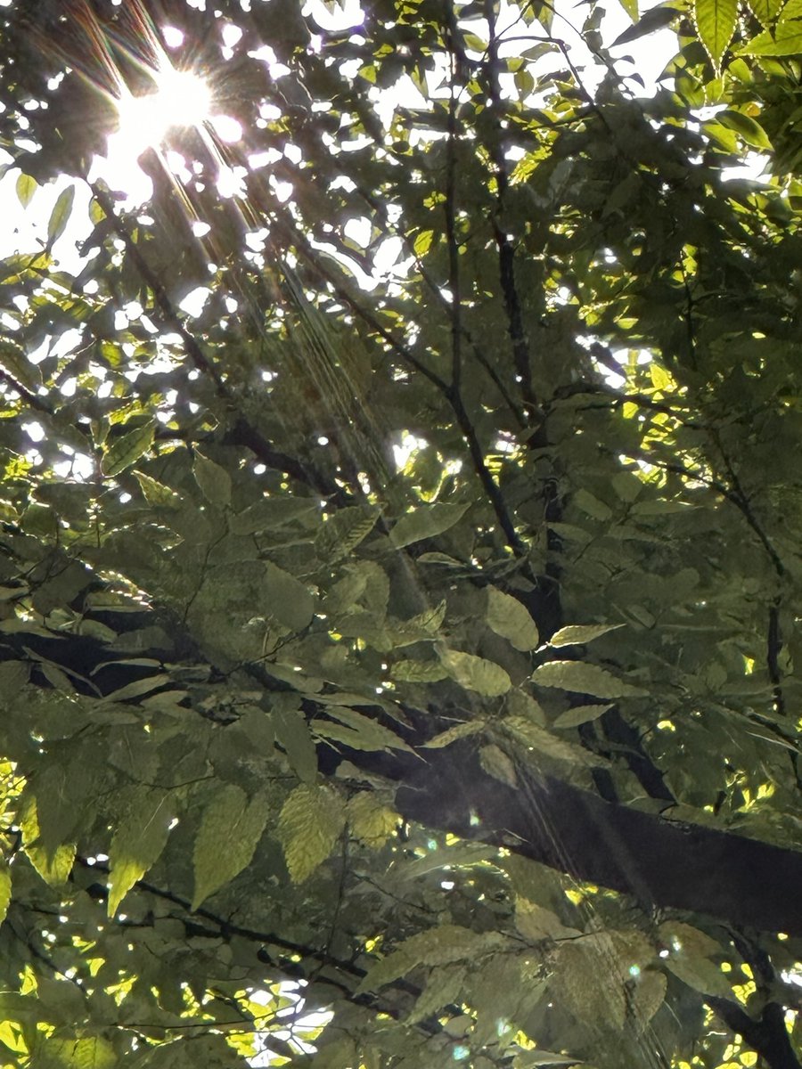 今日は、After Effectsでアニメーションを作る講座の講師仕事。

カリキュラムをちょっとアレンジしてみたので、どうなるかな。

#動画の寺子屋