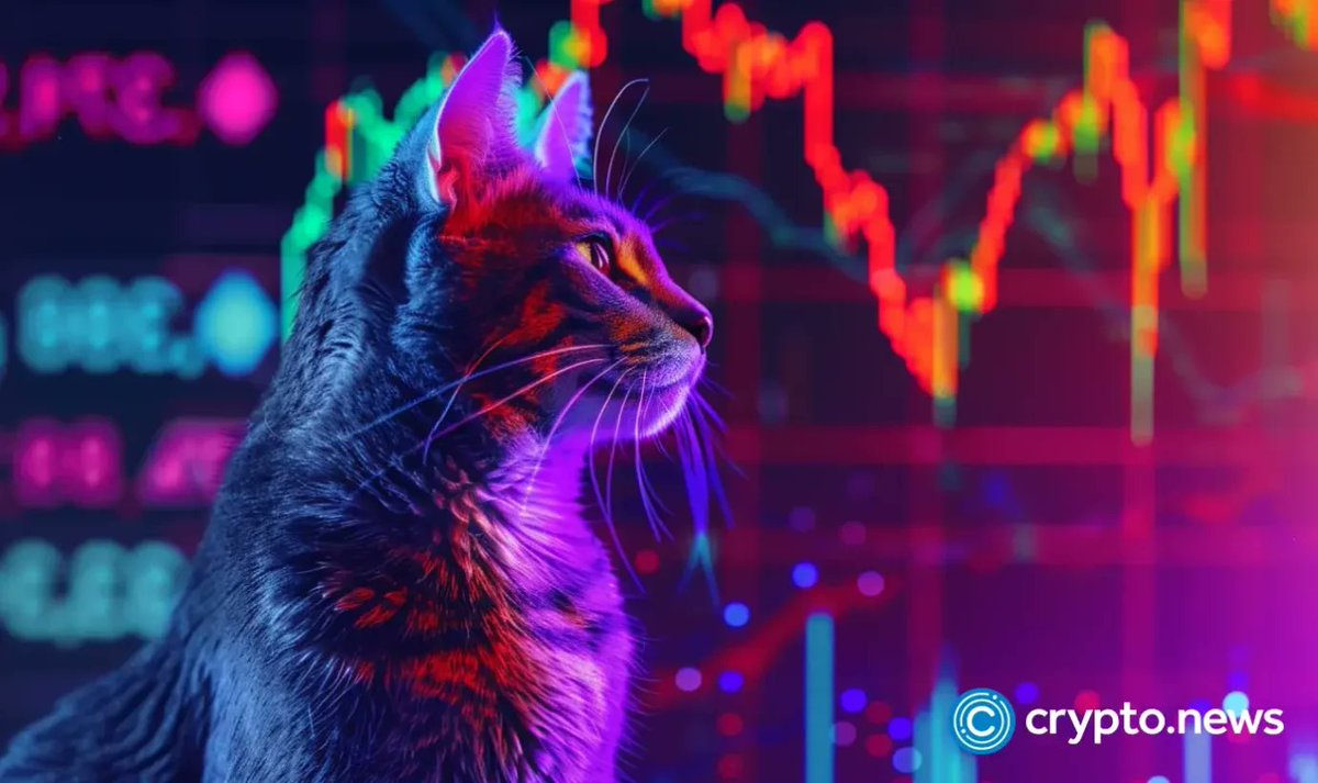 Cryptoooopuns's tweet photo. 🚨 BREAKING: #Popcat and #Dogs surge as #Bitcoin hits $56K! 🚀
$POPCAT +19% ($0.62) 📈
$DOGS +16% ($0.0011) 📈
Futures listings on #Binance & #OKX fueling the meme coin rally! 🐱🐕💥
#Crypto #MemeCoins #BTC #Altcoins #CryptoNews #PopcatCoin #DogsToken https://t.co/Ee0UPBmvfi