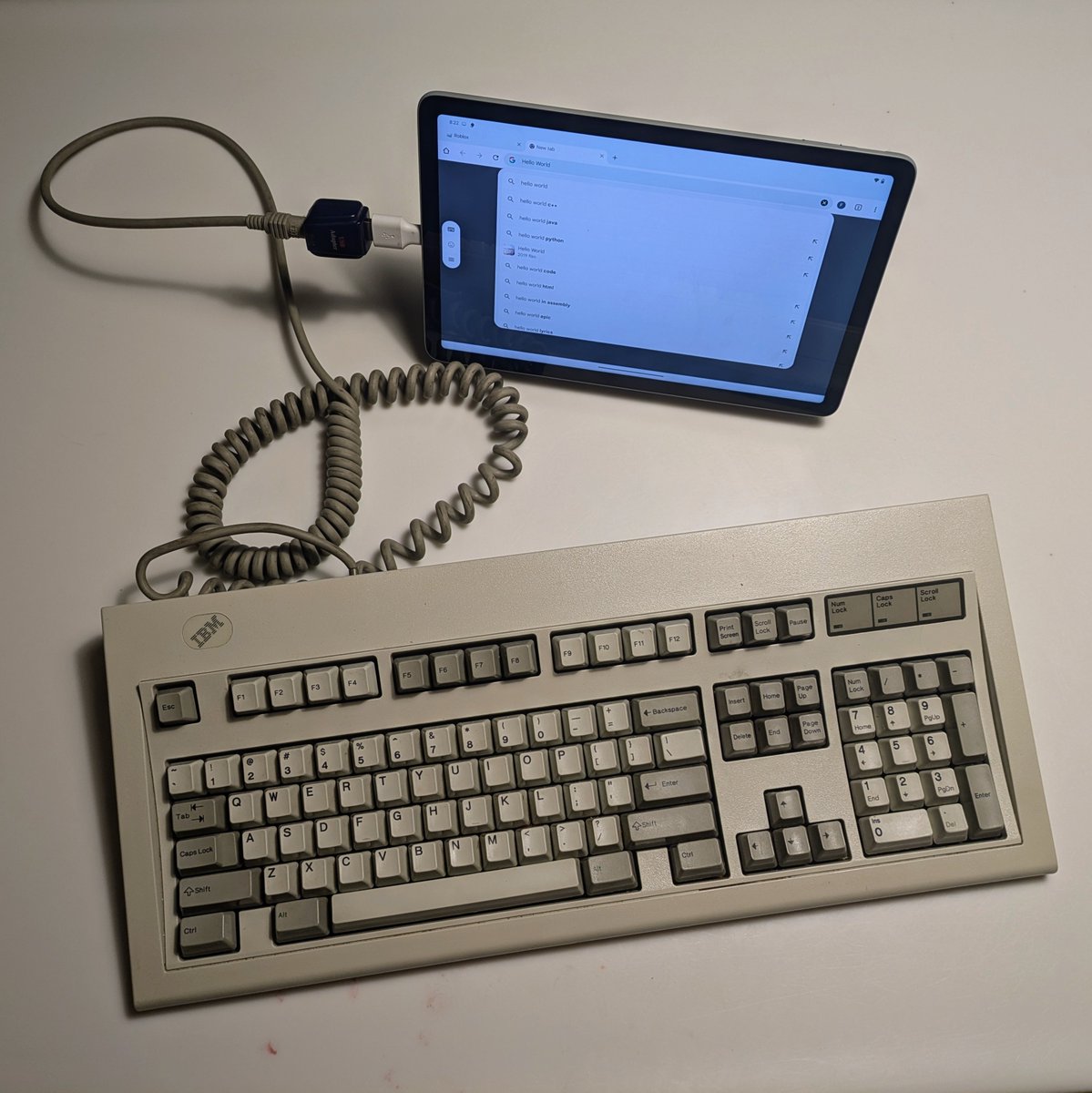 Our 9 y/o was rummaging through all my bins of weird connectors and vintage hardware for some reason. Turns out he was determined to use a 40-year-old IBM keyboard with his brand-new tablet, and I'm so proud he got it to work