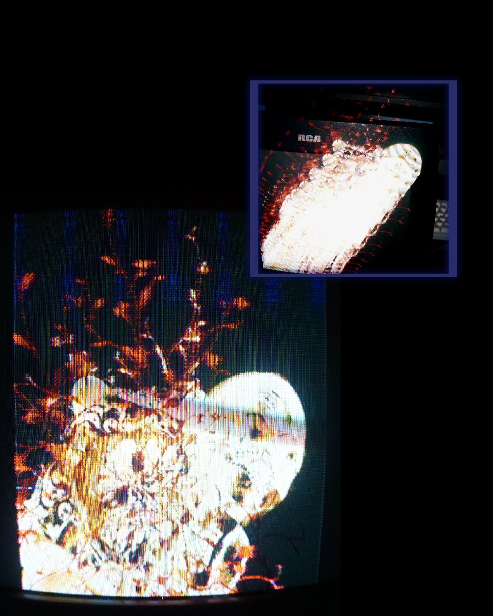 ://Floral_Bloodletting_2x0000