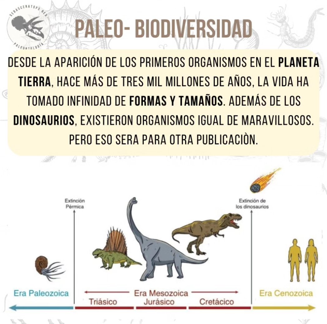 Sebasceratopsrex tweet media