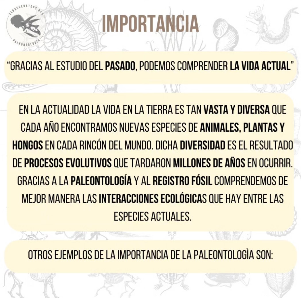 Sebasceratopsrex tweet media