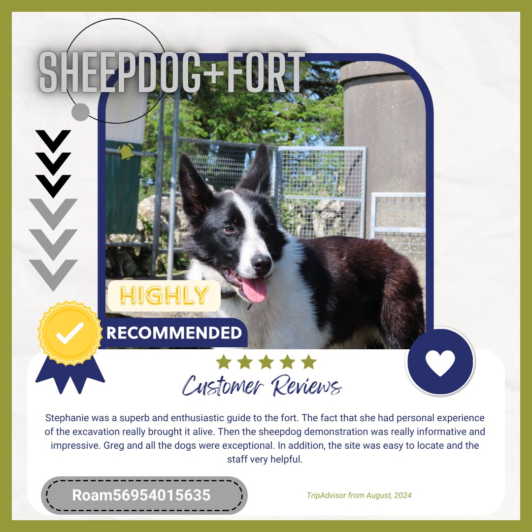 caherconnell's tweet image. We're overwhelmed by your positive reviews! 🎉 Thank you for sharing your Caherconnell Stone Fort experience. 🏰 We can't wait to welcome you back for another adventure. 🗺️ #CaherconnellStoneFort #PositiveReviews #VisitAgain