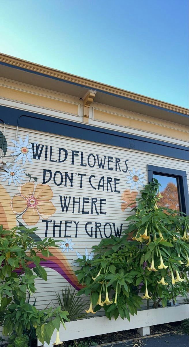 poetical photos. (@poeticalphotos) on Twitter photo 