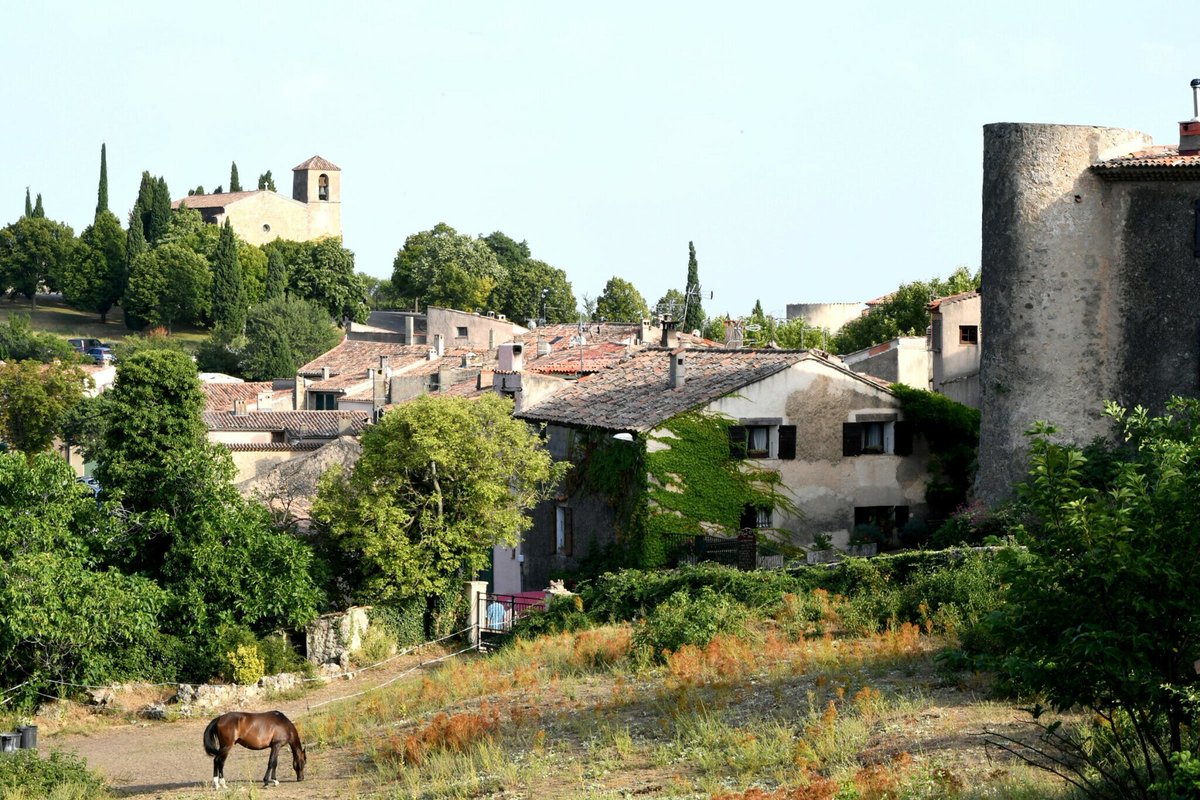 Var_Matin's tweet photo. #Photodujour 
😍 Tourtour, le "village dans le ciel de Provence"
📸 Sophie Louvet / Var-Matin

#nicematin #varmatin #cotedazur #tourtour https://t.co/U8MJ8wNx8f